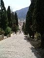 Pollenca 3